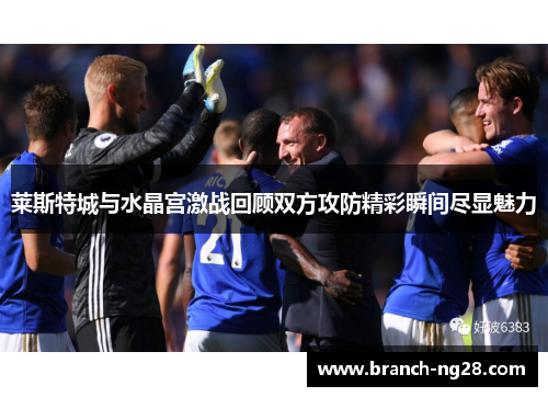 莱斯特城与水晶宫激战回顾双方攻防精彩瞬间尽显魅力