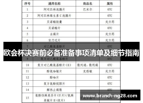 欧会杯决赛前必备准备事项清单及细节指南