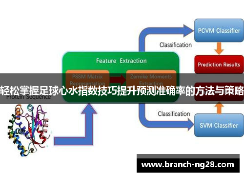 轻松掌握足球心水指数技巧提升预测准确率的方法与策略
