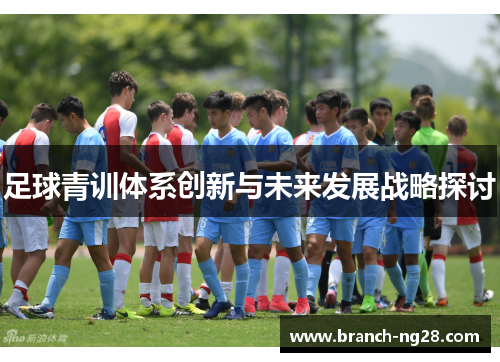 足球青训体系创新与未来发展战略探讨