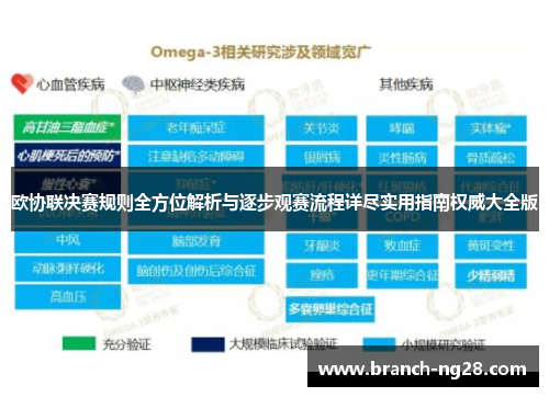 欧协联决赛规则全方位解析与逐步观赛流程详尽实用指南权威大全版