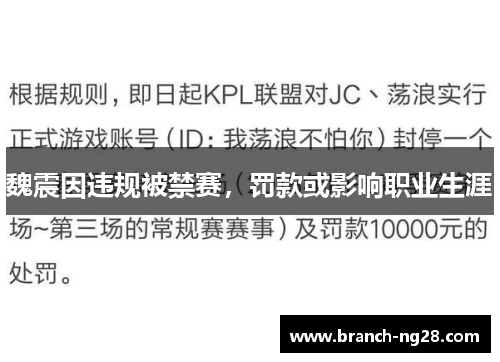 魏震因违规被禁赛,罚款或影响职业生涯 魏震因违规被禁赛,罚款或影响职业生涯