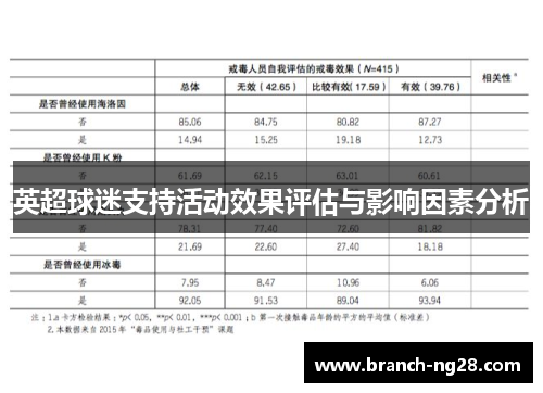 英超球迷支持活动效果评估与影响因素分析 英超球迷支持活动效果评估与影响因素分析