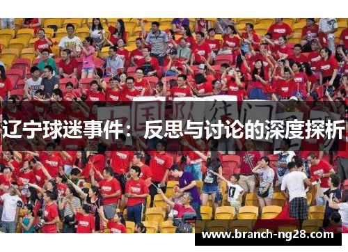 辽宁球迷事件:反思与讨论的深度探析 辽宁球迷事件:反思与讨论的深度探析