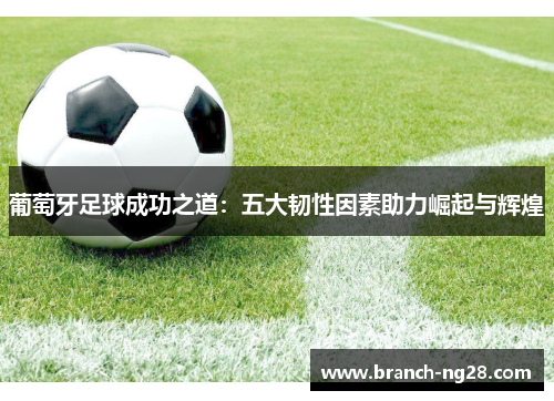 葡萄牙足球成功之道：五大韧性因素助力崛起与辉煌